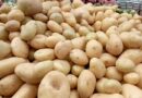 Preços de alface, batata, cebola e tomate sobem em fevereiro, mostra Conab