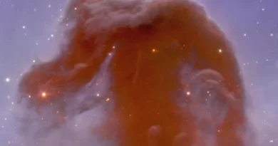 Telescópio Webb da NASA mostra semelhança impressionante de uma nebulosa em forma de Cavalo