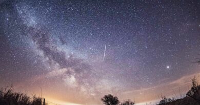 Chuva de meteoros Líridas enfeita o céu neste final de semana; confirma como observar
