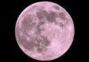 Fenômeno da Lua rosa será visível em todo o Brasil nesta terça; confira horário