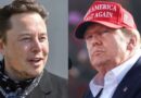 Trump rejeita proposta de paz com Elon Musk e manda forte recado para bilionário em meio à escalada de Insultos nas redes