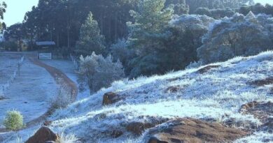 Onda de frio chega com tudo e se espalha pelo Brasil: Sul terá temperaturas negativas e geada no fim de Semana