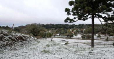 Fim de semana gelado à vista: frio persiste em vários estados do Brasil