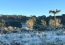 Frio de rachar em Santa Catarina: dezenas de cidades registram temperaturas abaixo de zero com neve e geada