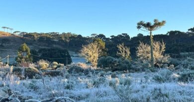 Frio de rachar em Santa Catarina: dezenas de cidades registram temperaturas abaixo de zero com neve e geada