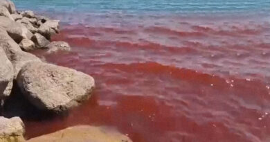 Mar da Galileia em Israel fica vermelho-sangue e assusta moradores e levanta temores do Apocalipse; veja vídeo