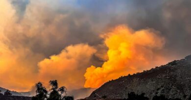 Incêndio florestal fora de controle no Sul da Califórnia obriga milhares a abandonarem suas casas; veja vídeos