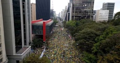 Manifestação em apoio a Bolsonaro reúne multidão nas ruas em várias cidades do Brasil por anistia; vídeos