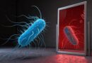 Cientistas alertam: tecnologia da ‘vida espelhada’ representa sério risco para a humanidade
