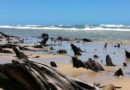 Aumento do nível do mar ameaça o litoral do Brasil; país perdeu 15% de sua faixa de areia