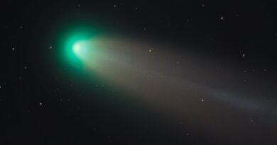 Cometa Lemmon atinge máxima proximidade da Terra e Ilumina o céu brasileiro; veja como observar