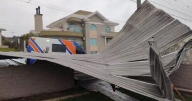 Tempestade de ventos de 80 km/h atinge Oeste de Santa Catarina deixa árvores caídas e casas destelhadas
