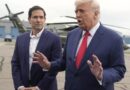 Oposição vibra com a nomeação de Marco Rubio para intermediar sanções EUA-Brasil
