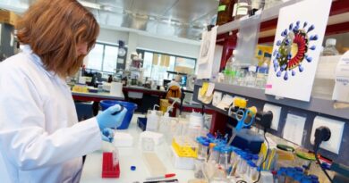 Cientistas chineses criam vírus  potencialmente mortais que atacam o cérebro