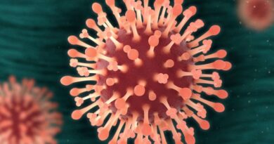 OMS emite alerta global após nova variedade da gripe, conhecida como vírus K, avançar na Europa e Ásia