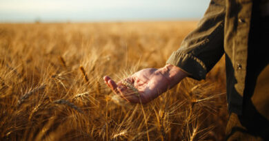 Deus não faz acepção, Ele faz justiça: a chave da colheita para todos