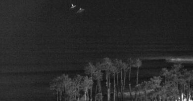 Objetos misteriosos flutuam sobre o céu da Califórnia emitindo uma forte luz e intrigam moradores; vídeo