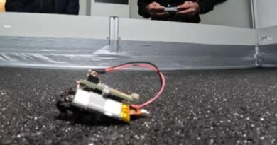 Alemanha testa baratas espiãs equipadas com sensores para cenários de guerra