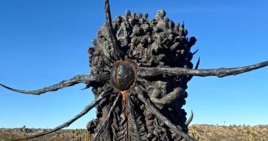 Monólito macabro surge no deserto da Califórnia,  desencadeando mistério e especulações; assista