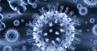 Nova variante da gripe: Brasil identifica 4 casos da linhagem K