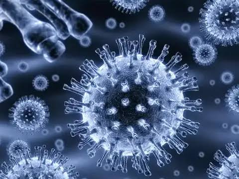 Nova variante da gripe: Brasil identifica 4 casos da linhagem K