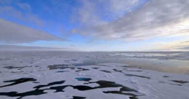 Ártico bate calor recorde em 125 anos e ameaça o clima global com efeitos em cascata