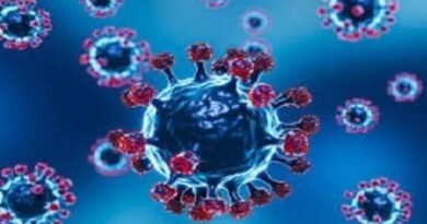 Ministério da Saúde confirma ‘Gripe K’ no Brasil em meio a aumento de hospitalizações por influenza