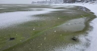 Cientistas ficam perplexos com raro ‘gelo verde’ que cobriu lago em país europeu”