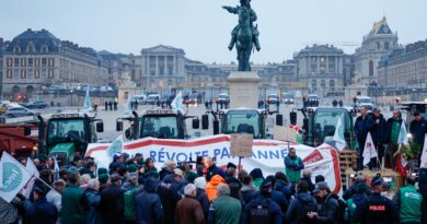UE aprova acordo com Mercosul, mas enfrenta fúria de agricultores e ameaça da França