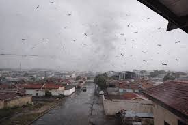 Tornado no Paraná  deixa feridos e centenas de residências destelhadas na Região Metropolitana