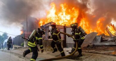 Resgate de fé: mãe entrega gêmeos aos bombeiros em ato de amor durante incêndios florestais no Chile; veja vídeo