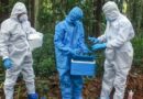 Casos do vírus Nipah na Índia forçam países asiáticos a tomarem medidas de segurança