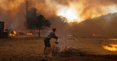 Mundo caminha para um estado de “Terra Estufa” que a humanidade nunca enfrentou, alertam cientistas