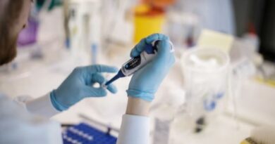 Cientistas monitoram mutações perigosas de vírus que ameaçam causar nova emergência sanitária