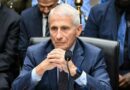 Republicanos acionam Justiça contra Fauci após ex-diretor se recusar a depor no Senado americano sobre Covid