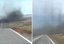 Céu escurecido por milhões de insetos assusta motoristas e paralisa rodovia na Rússia; veja vídeo