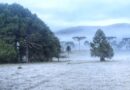 Massa de ar polar derruba os termômetros, traz geada ao Sul e mantém frio forte no Sudeste