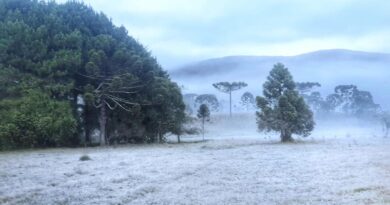 Massa de ar polar derruba os termômetros, traz geada ao Sul e mantém frio forte no Sudeste